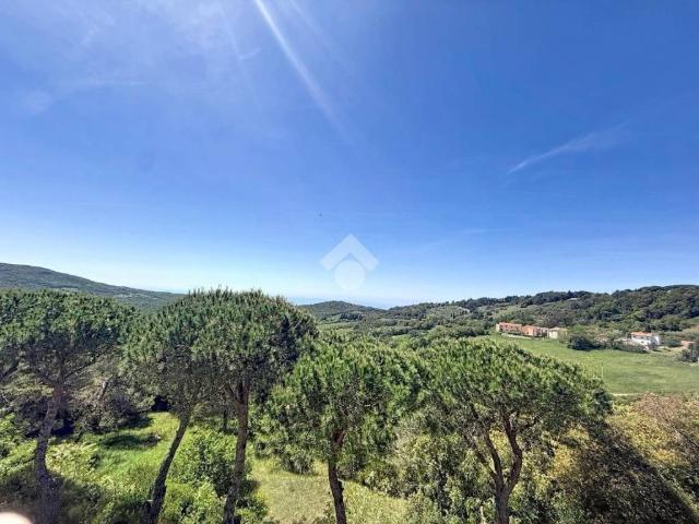 Appartamento in vendita a Rosignano Marittimo, Toscana