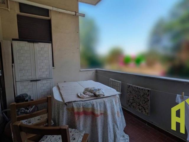 Appartamento in vendita a Rosignano Marittimo, Toscana