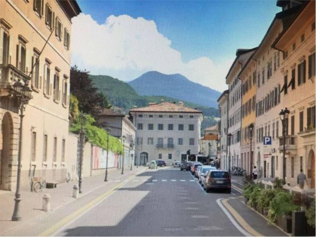 Appartamento in vendita a Comunità della Vallagarina, Borgo Sacco