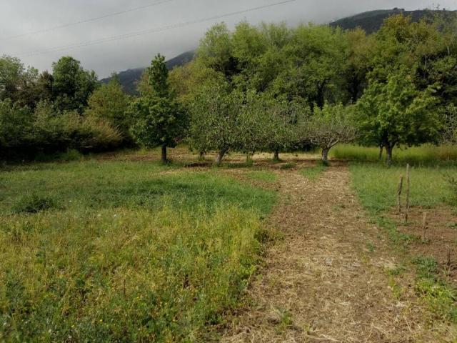Appartamento in vendita a Casale, Salerno