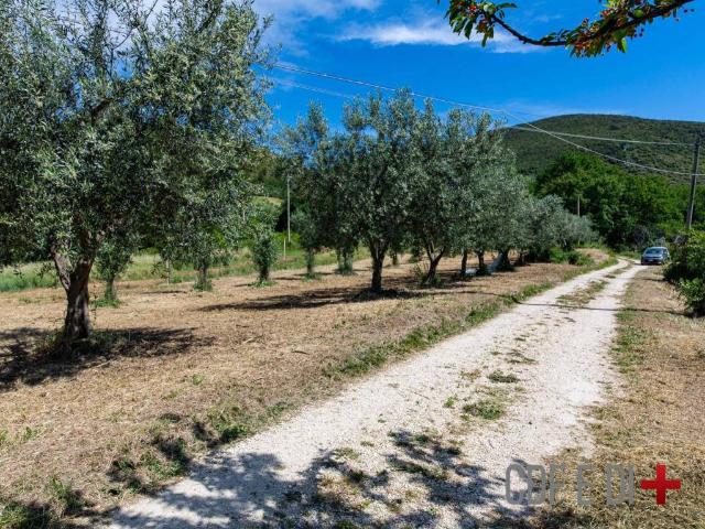 Appartamento in vendita a Salisano, Lazio