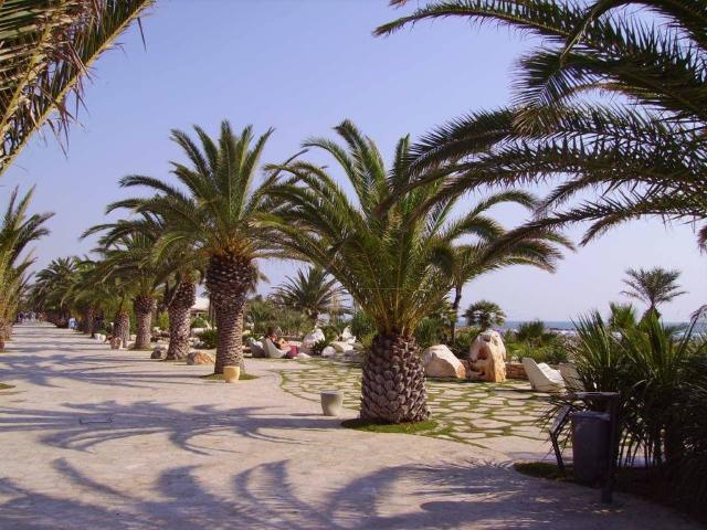 Appartamento in vendita a Marina centro, Marche