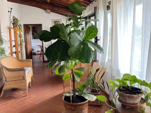 Appartamento in vendita a San Casciano in Val di Pesa, Montefiridolfi