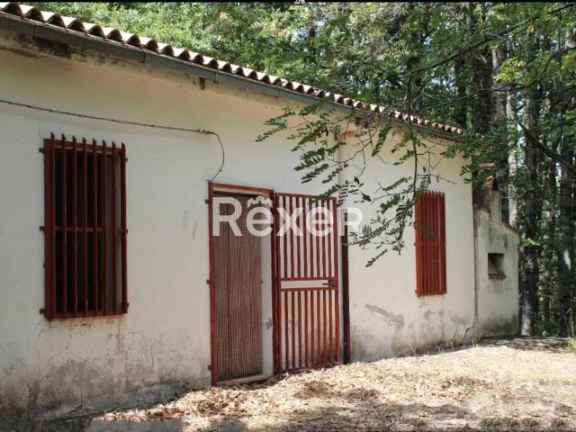 Appartamento in vendita a San Costantino Albanese, Potenza