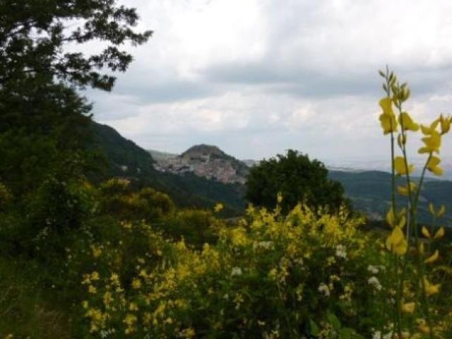 Appartamento in vendita a San Fele, Basilicata