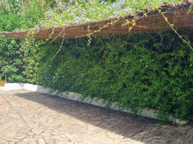 Appartamento in vendita a San Felice Circeo, Lazio