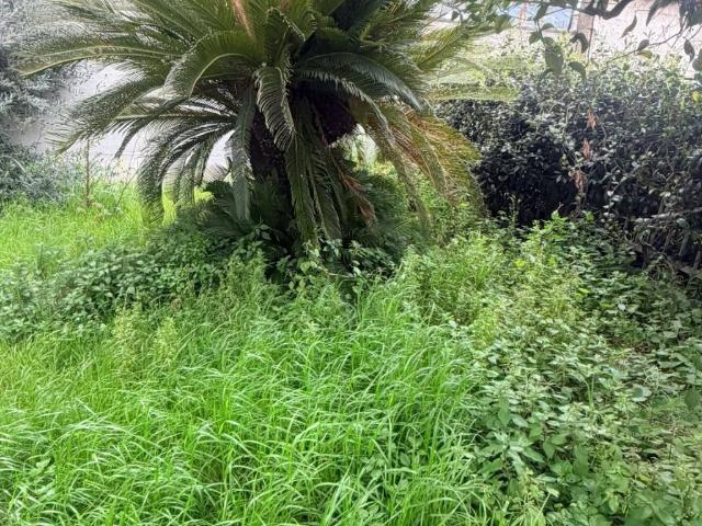 Appartamento in vendita a San Gennaro Vesuviano, Campania