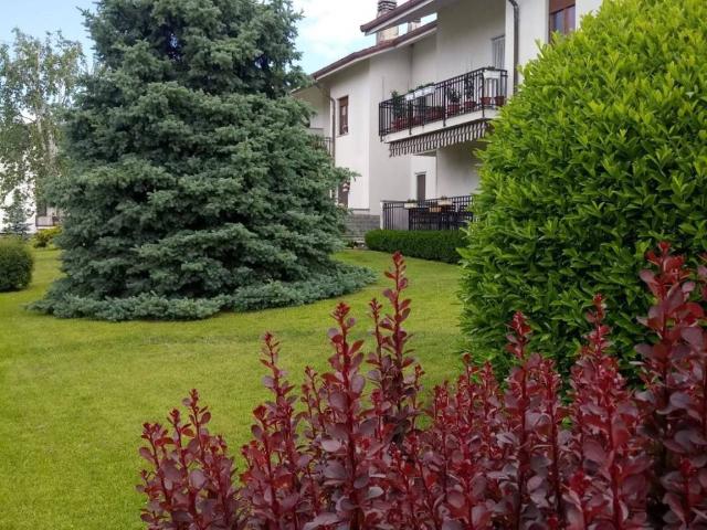 Appartamento in vendita a Piemonte, Torino