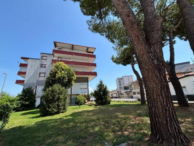 Appartamento in vendita a San Giorgio Di Nogaro, Friuli-Venezia Giulia