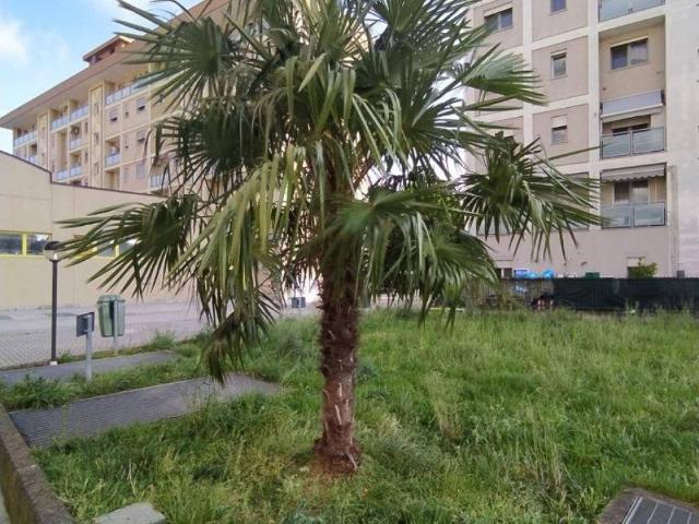 Appartamento in vendita a Borgolombardo, San Giuliano Milanese