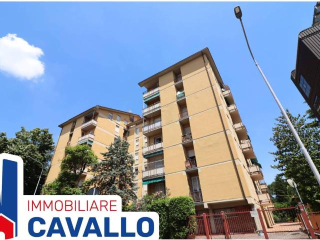 Appartamento in vendita a Cicogna, San Lazzaro