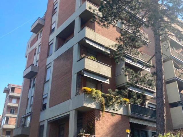 Appartamento in vendita a Cicogna, San Lazzaro