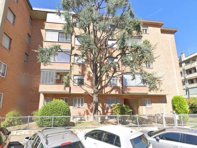 Appartamento in vendita a Cicogna, San Lazzaro