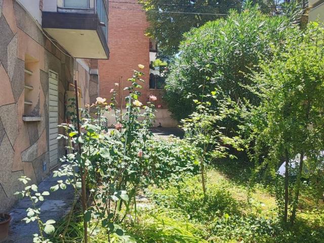 Appartamento in vendita a Cicogna, San Lazzaro