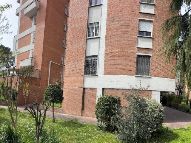 Appartamento in vendita a Cicogna, San Lazzaro