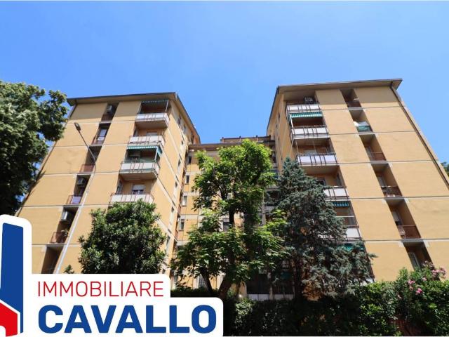 Appartamento in vendita a Cicogna, San Lazzaro