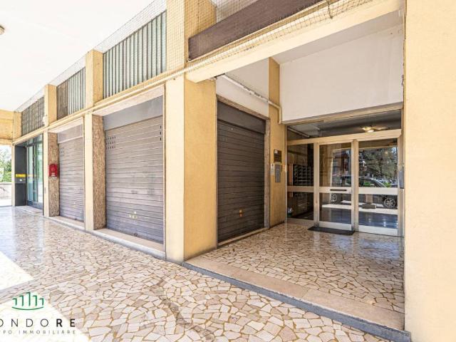 Appartamento in vendita a Cicogna, San Lazzaro