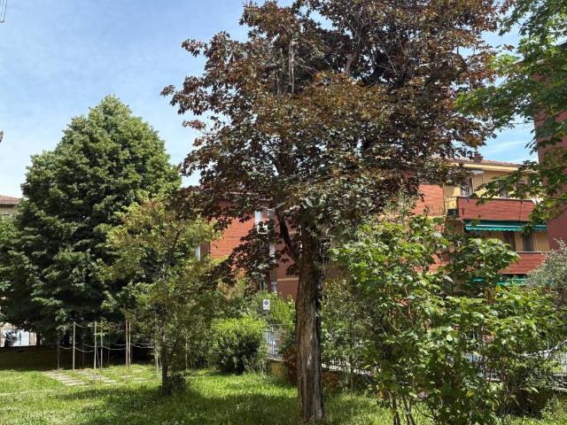 Appartamento in vendita a Cicogna, San Lazzaro