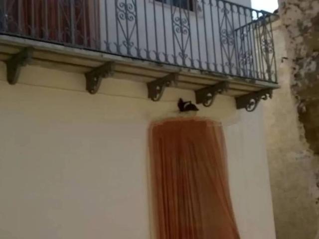 Appartamento in vendita a San Massimo, Molise