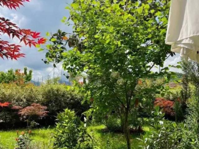 Appartamento in vendita a San Massimo, Molise