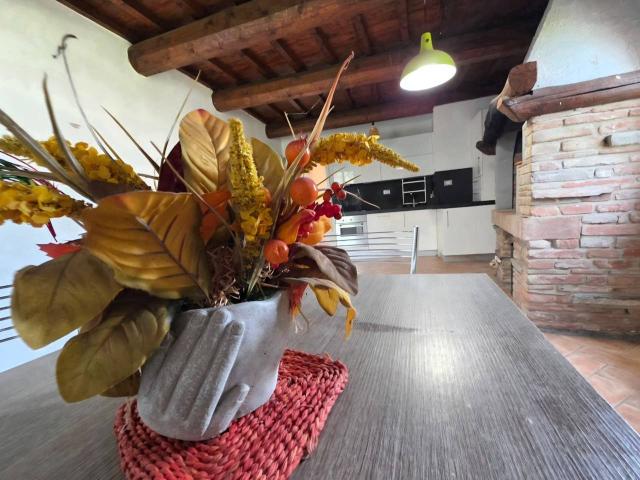Appartamento in vendita a Montebicchieri, San Miniato