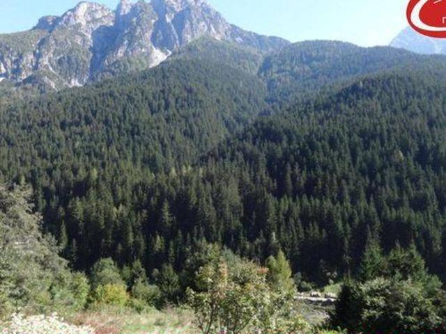 Appartamento in vendita a Valle, San Pietro Di Cadore