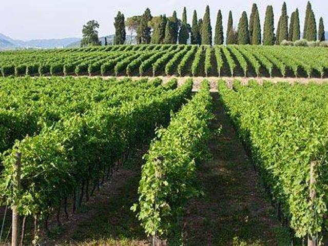 Appartamento in vendita a San Pietro In Cariano, Veneto