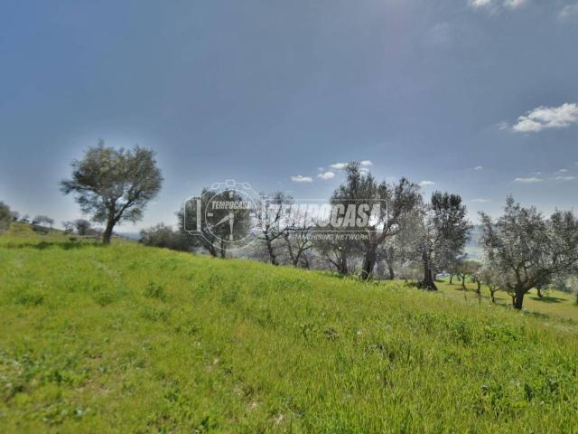 Appartamento in vendita a Pitino, Marche