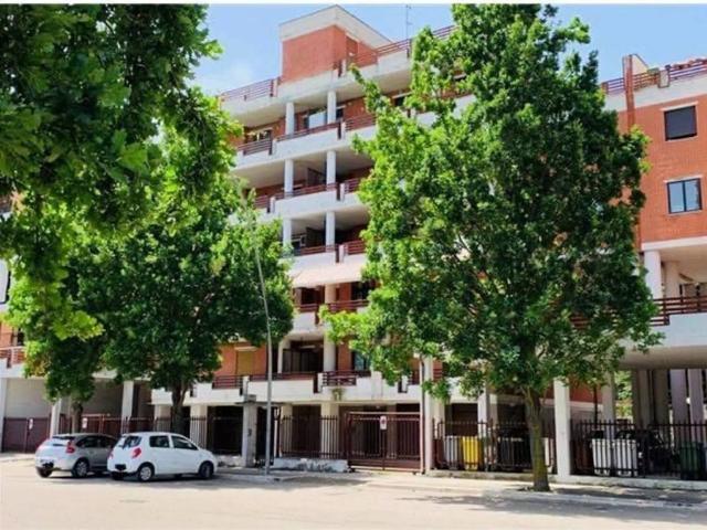 Appartamento in vendita a San Severo, Foggia
