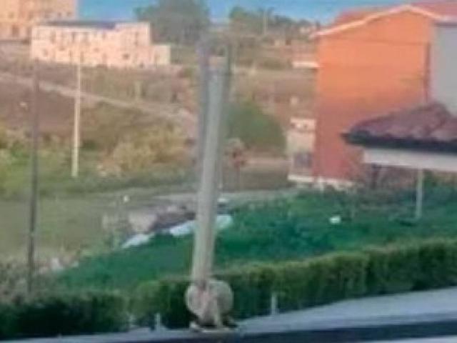 Appartamento in vendita a Calabria, Catanzaro