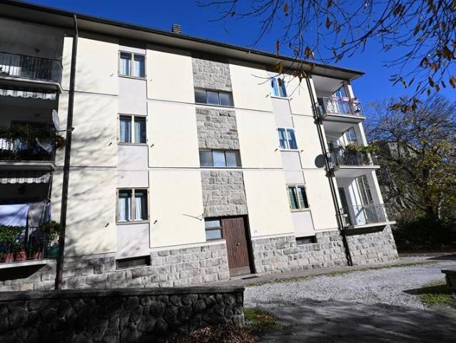 Appartamento in vendita a Unione dei Comuni Montani Amiata Grossetana, Santa Fiora