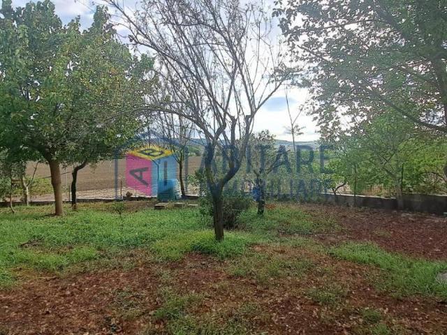Appartamento in vendita a Mercatale, Santa Luce
