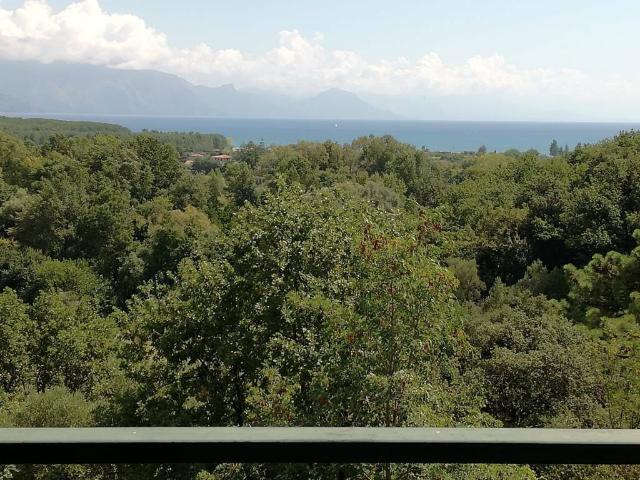Appartamento in vendita a Santa Marina, Campania