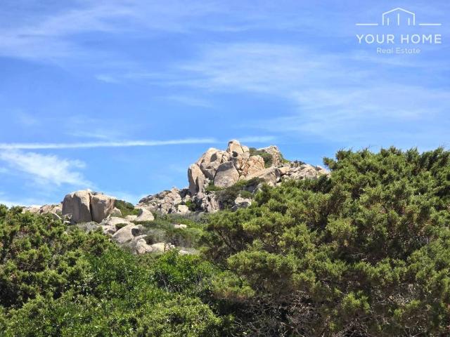 Appartamento in vendita a Santa Teresa Gallura, Sardigna/Sardegna