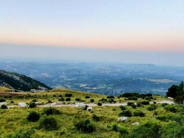 Appartamento in vendita a Sassotetto, Marche