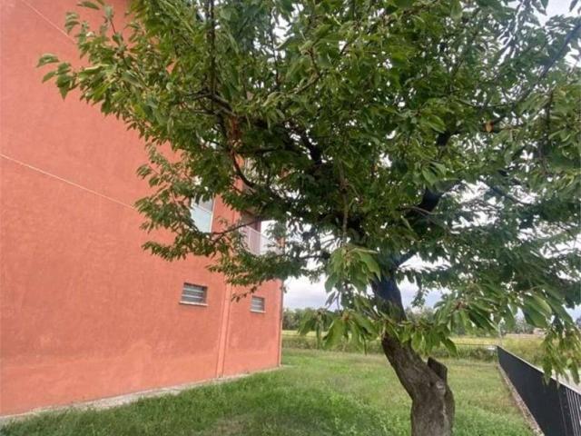 Appartamento in vendita a Scaldasole, Lombardia