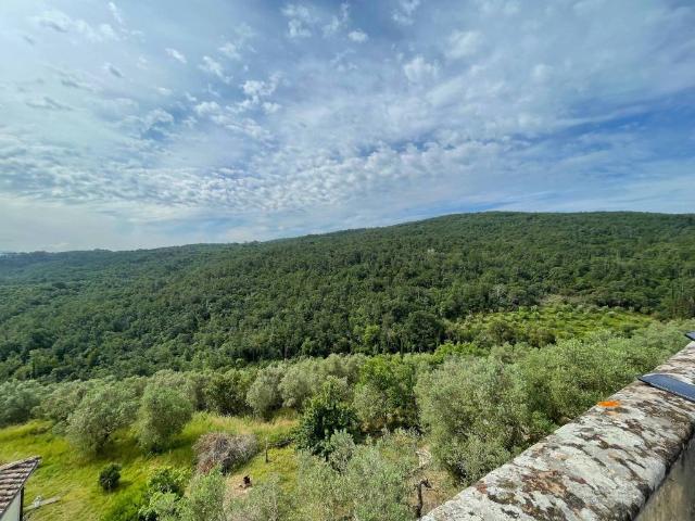 Appartamento in vendita a Scandicci, Toscana