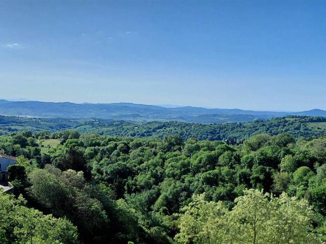 Appartamento in vendita a Scansano, Toscana