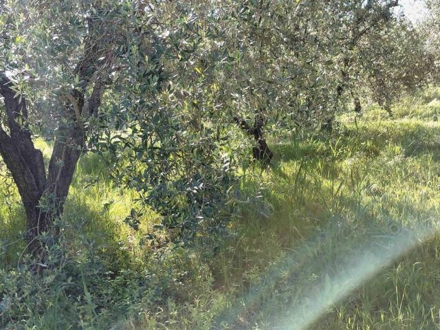 Appartamento in vendita a Salaioli, Scansano