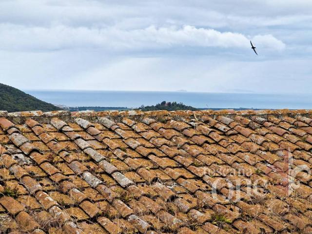 Appartamento in vendita a Zona 167 Scarlino, Scarlino