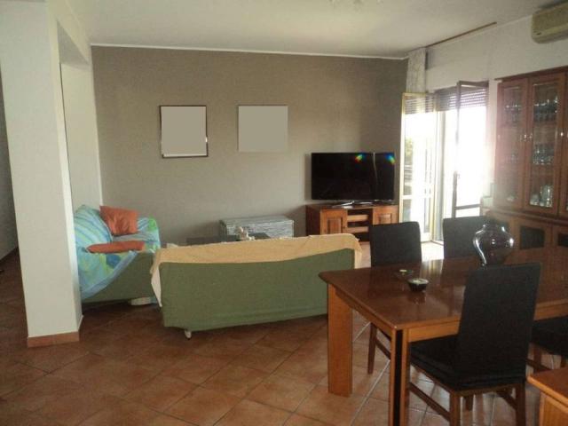 Appartamento in vendita a Scordia, Sicilia
