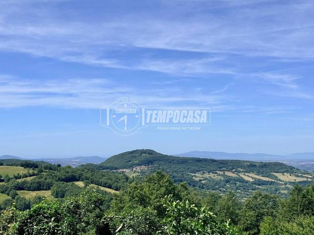 Appartamento in vendita a Unione dei Comuni Montani Amiata Grossetana, Semproniano