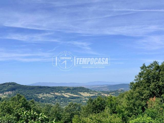 Appartamento in vendita a Unione dei Comuni Montani Amiata Grossetana, Semproniano