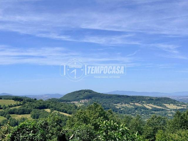 Appartamento in vendita a Unione dei Comuni Montani Amiata Grossetana, Semproniano