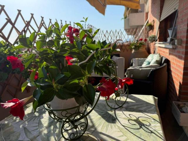Appartamento in vendita a Frasso, Seravezza