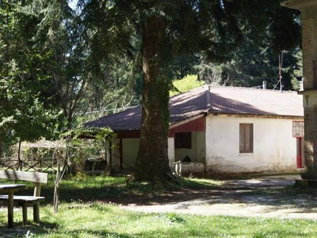 Appartamento in vendita a Calabria, Vibo Valentia