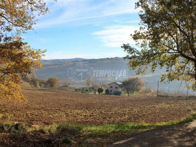 Appartamento in vendita a Marche, Ancona