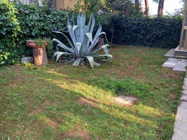 Appartamento in vendita a Silvi, Abruzzo