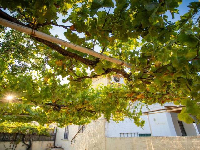 Appartamento in vendita a Capo Comino, Sardigna/Sardegna
