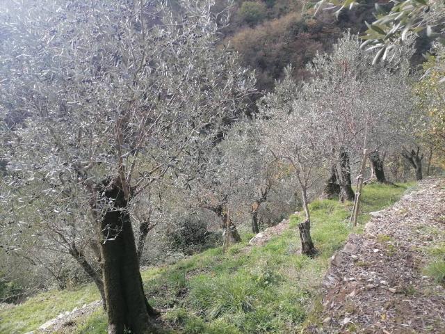 Appartamento in vendita a Sori, Liguria